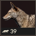 Far Cry 6 - Coyote Meat