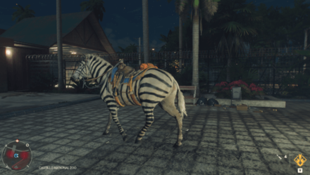 Mogote Zebra Location 2.jpg