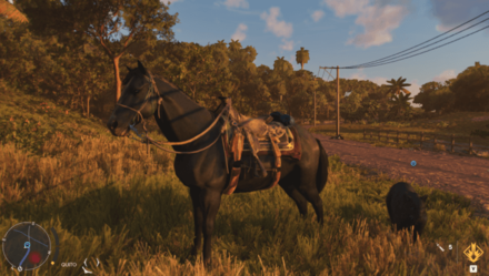 Spanish Marchador Location 2.jpg