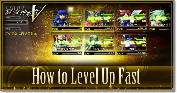 How to Level up Fast in SMT 5