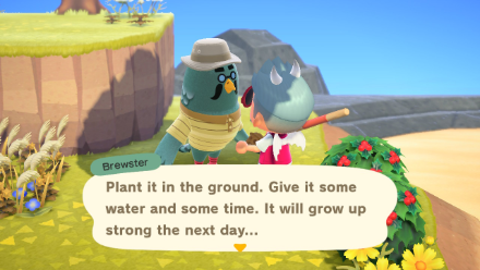 ACNH - Find Brewster during Boat Tours