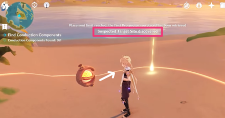 Genshin - How to Use Ayesha