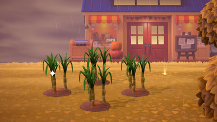 ACNH - Sugarcane Day 4