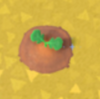 ACNH - Tomato Growth Day 1