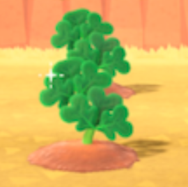 ACNH - Tomato Growth Day 2