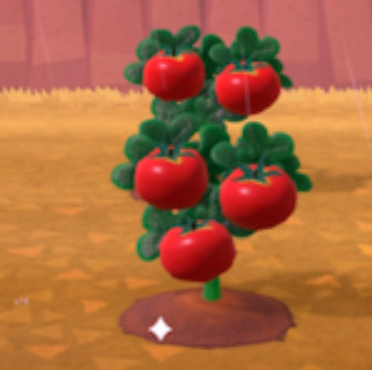 ACNH - Tomato Growth Day 4