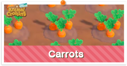 ACNH - Carrots