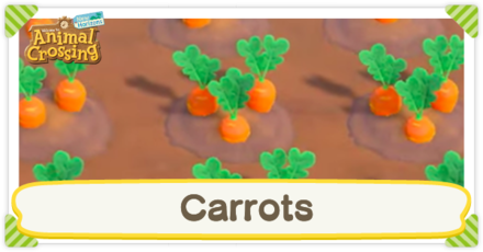 How to Get and Grow Carrots  ACNH - Animal Crossing: New Horizons