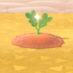 ACNH - Carrot Growth Day 2