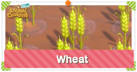 ACNH - Wheat