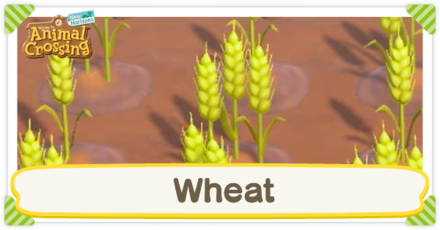 How To Grow Wheat Acnh Animal Crossing New Horizons Switch Game8