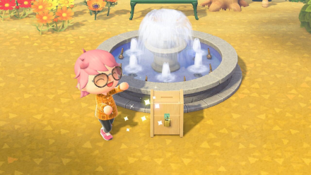 ACNH - Player Showing the Donation Box