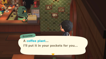 ACNH - Brewster Reward 21st Day