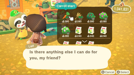 ACNH - Buy Carrot Crop from Leif