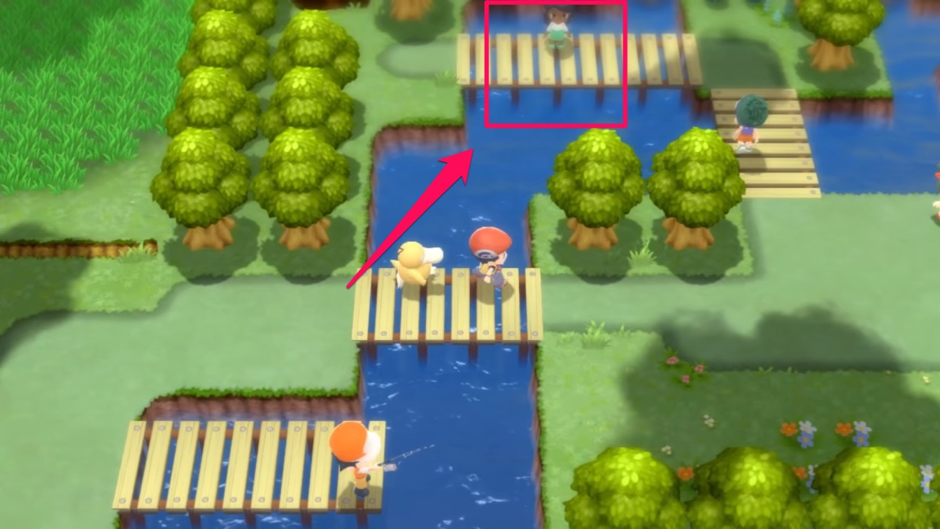 Pokemon BDSP New NPC Route 209