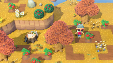 ACNH - Tomato Island