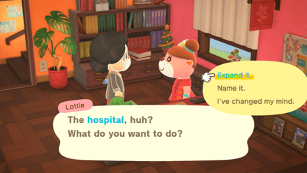 ACNH - Talk to Lottie to expand the hospital