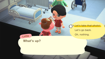 ACNH - Take the celebratory photo or go back to the office