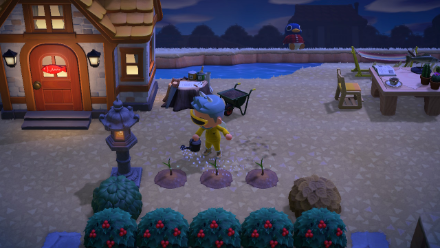 ACNH - Water Sugarcane