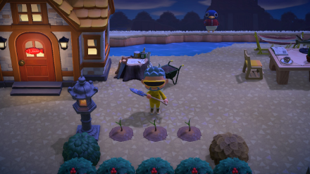 ACNH - Plant Sugarcane Starts