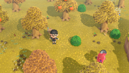 ACNH - Choose the Scenery