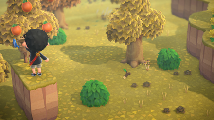 ACNH - Adjust the Height