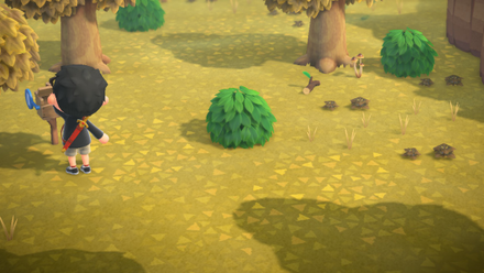 ACNH - How to Take Angled Shots