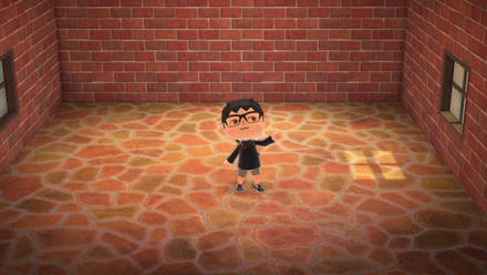 ACNH - How to Use the Camera in Photopia