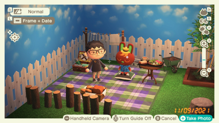 ACNH - Use the Camera