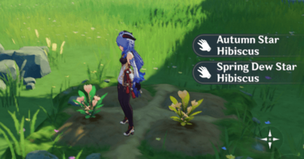 Genshin - How to Plant Dreambloom Seeds - Flowers Grow at Random