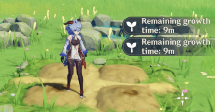 Genshin - How to Plant Dreambloom Seeds - Flower Growth Time