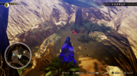 Miman 49 Actual Location