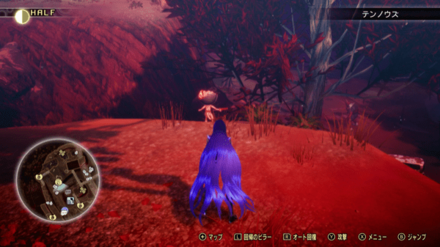 Miman 55 Actual Location