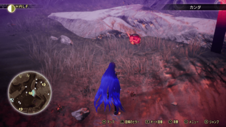 Miman 113 Actual Location