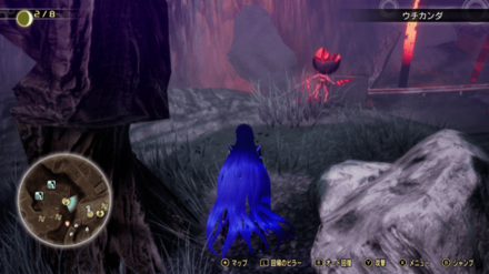 Miman 116 Actual Location