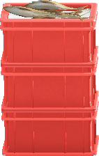 The Red version of Stacked Fish Containers