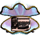 Shell Music Box Image