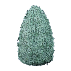 Triangular Topiary Image