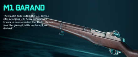 Battlefield 2042 - M1 Garand Weapon Info