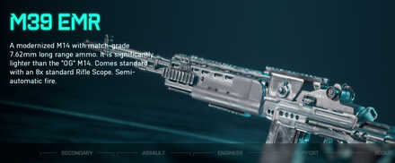 Battlefield 2042 - M39 EMR Weapon Info