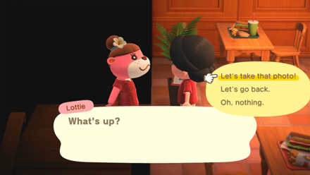 ACNH - Take the Celebratory Photo