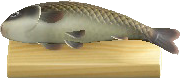Carp on a Cutting Board Image