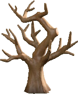 Decayed Tree Image
