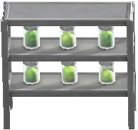 Glowing-Moss-Jar Shelves Image