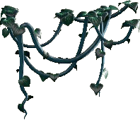 The Dark Green version of Vine Garland