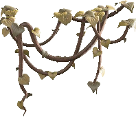 The Brown version of Vine Garland