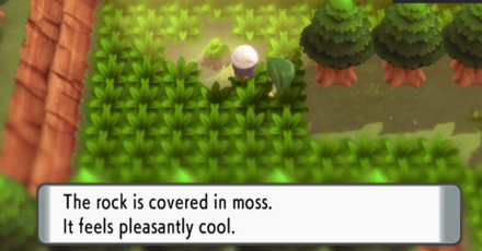 Moss Rock Pokemon BDSP