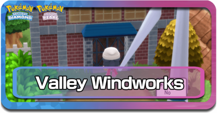 Valley Windworks Pokemon BDSP