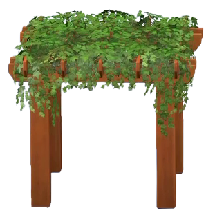 The Ivy version of Pergola