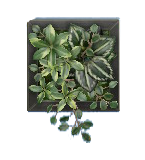 The Black version of Wall Planter